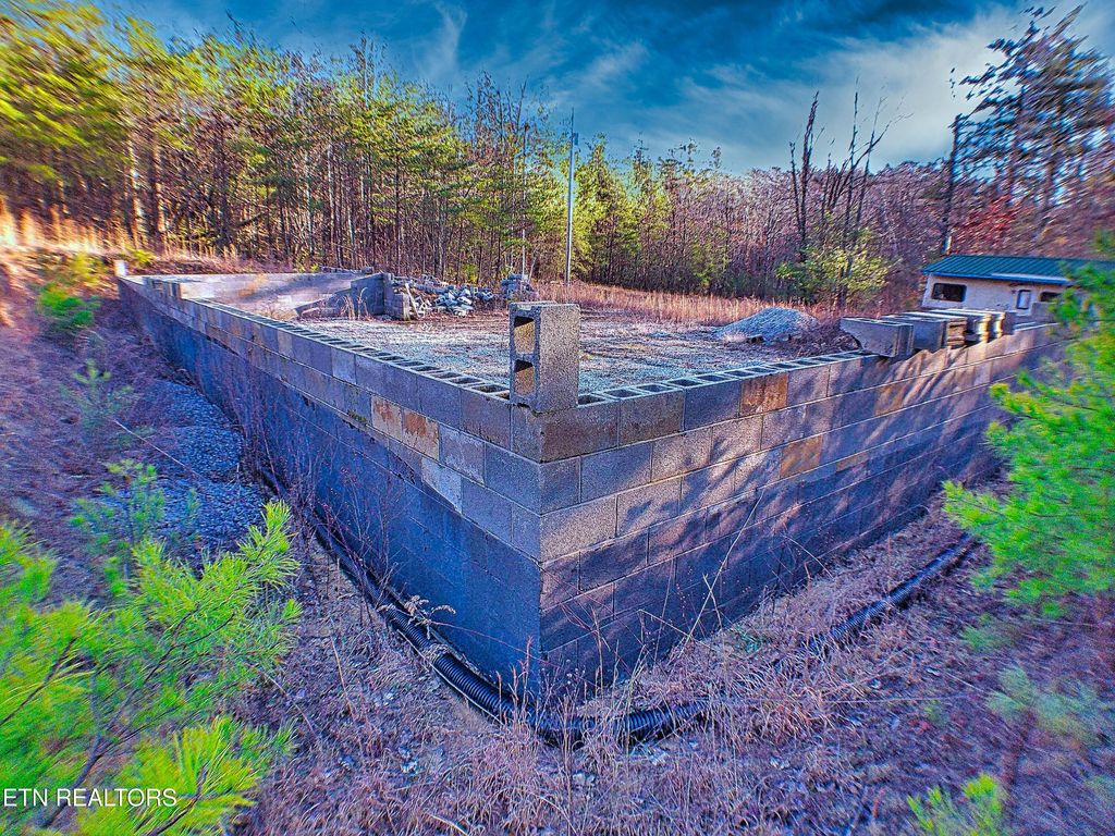 Photo of 144 Charlie Jones Rd, Deer Lodge, TN 37726 (MLS # 1321041)