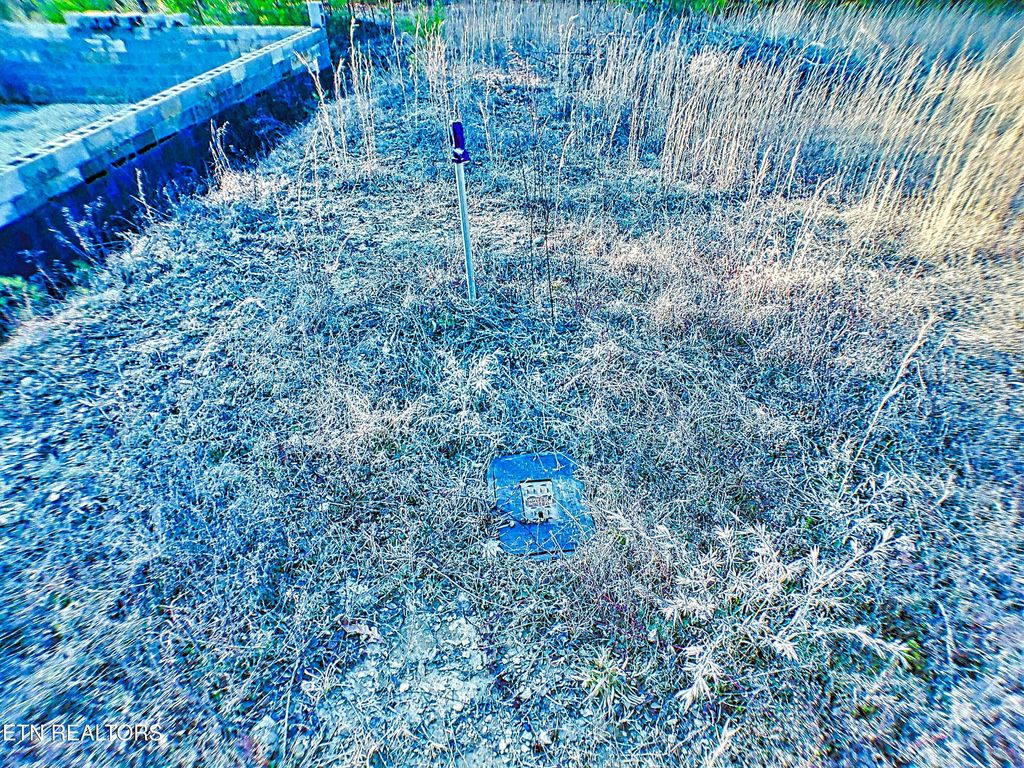 Photo of 144 Charlie Jones Rd, Deer Lodge, TN 37726 (MLS # 1321041)