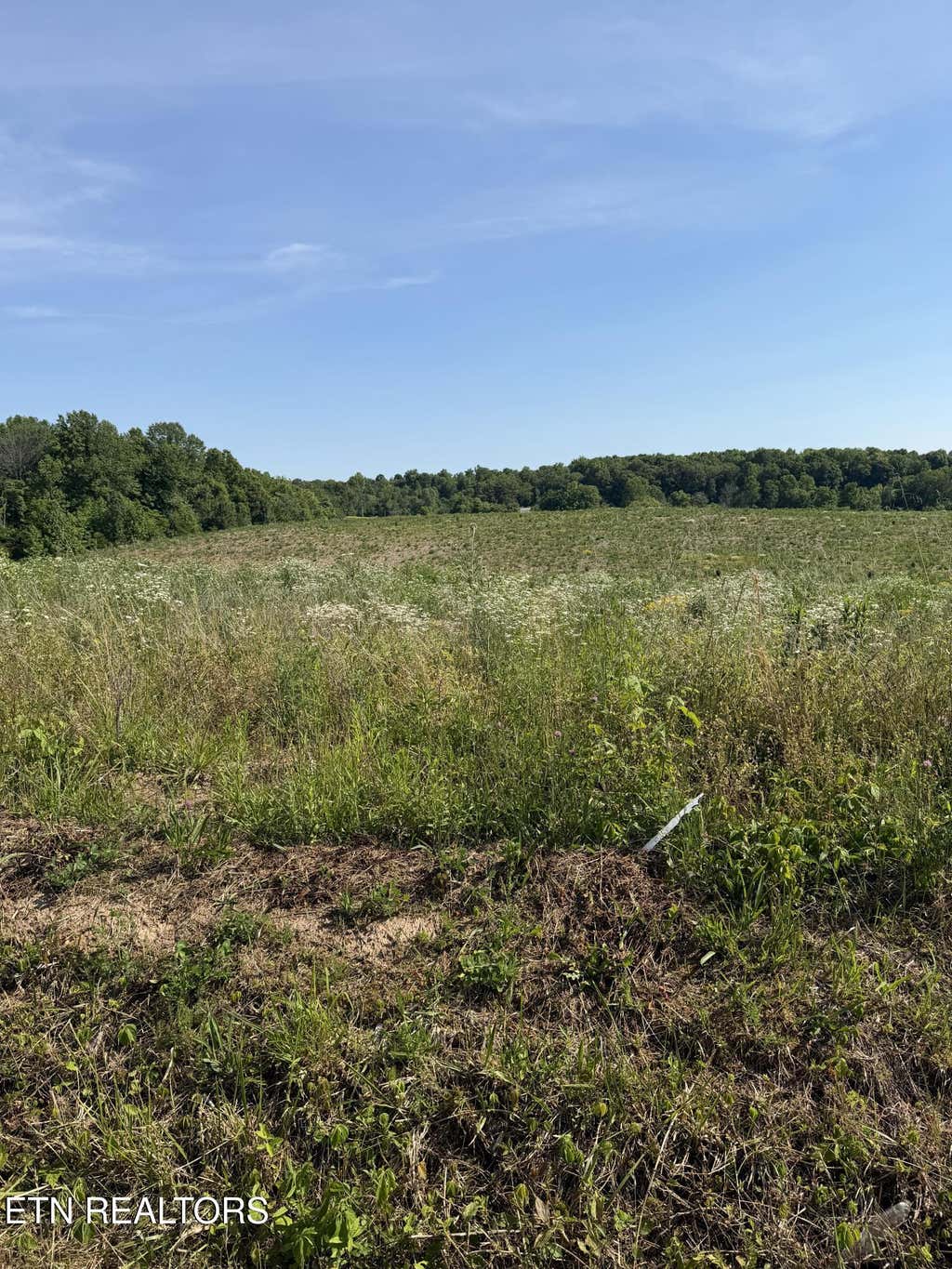 Photo of 12 Petty Rd, Sparta, TN 38583 (MLS # 1349838)