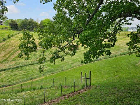 Tiny photo for 728 Essary Rd, Tazewell, TN 37879 (MLS # 1320550)