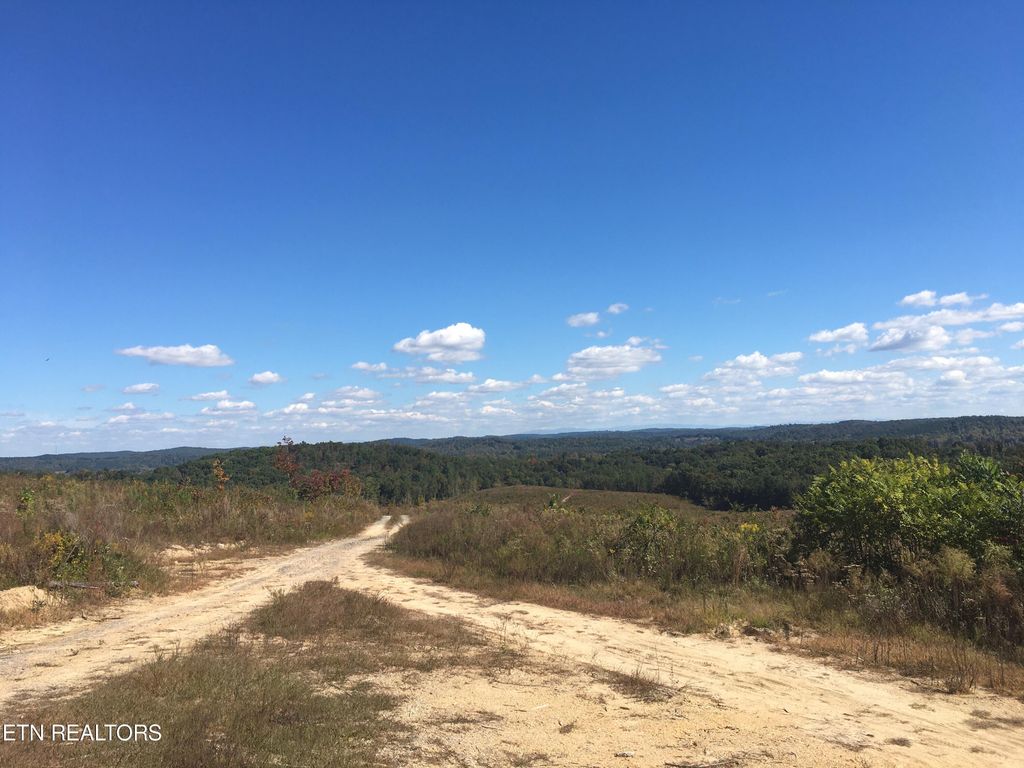 Photo of 710 Arwine Rd, Decatur, TN 37322 (MLS # 1257987)