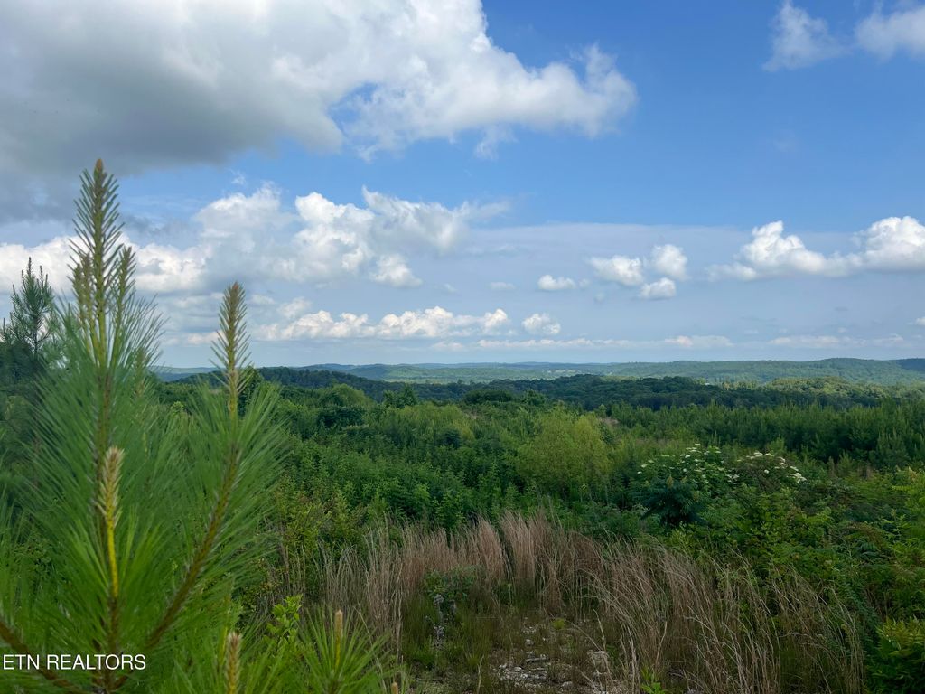 Photo of 710 Arwine Rd, Decatur, TN 37322 (MLS # 1257987)