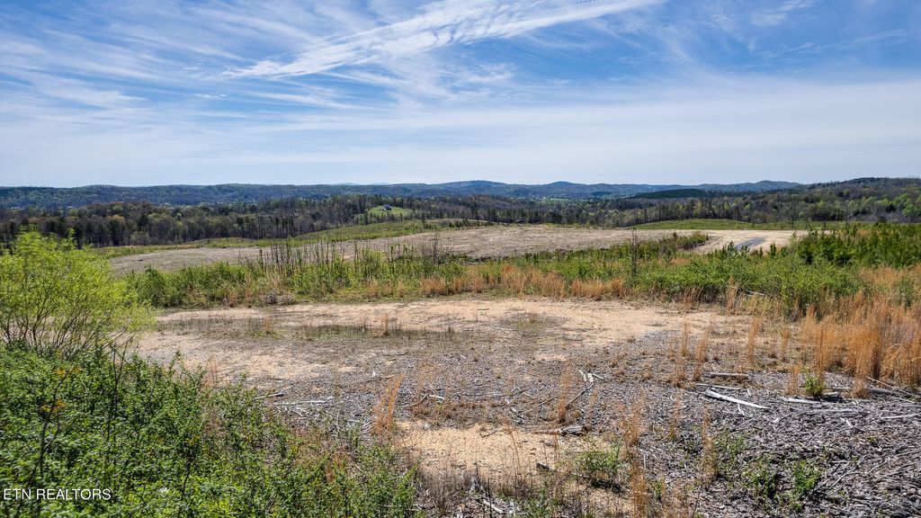 Photo of 710 Arwine Rd, Decatur, TN 37322 (MLS # 1257987)