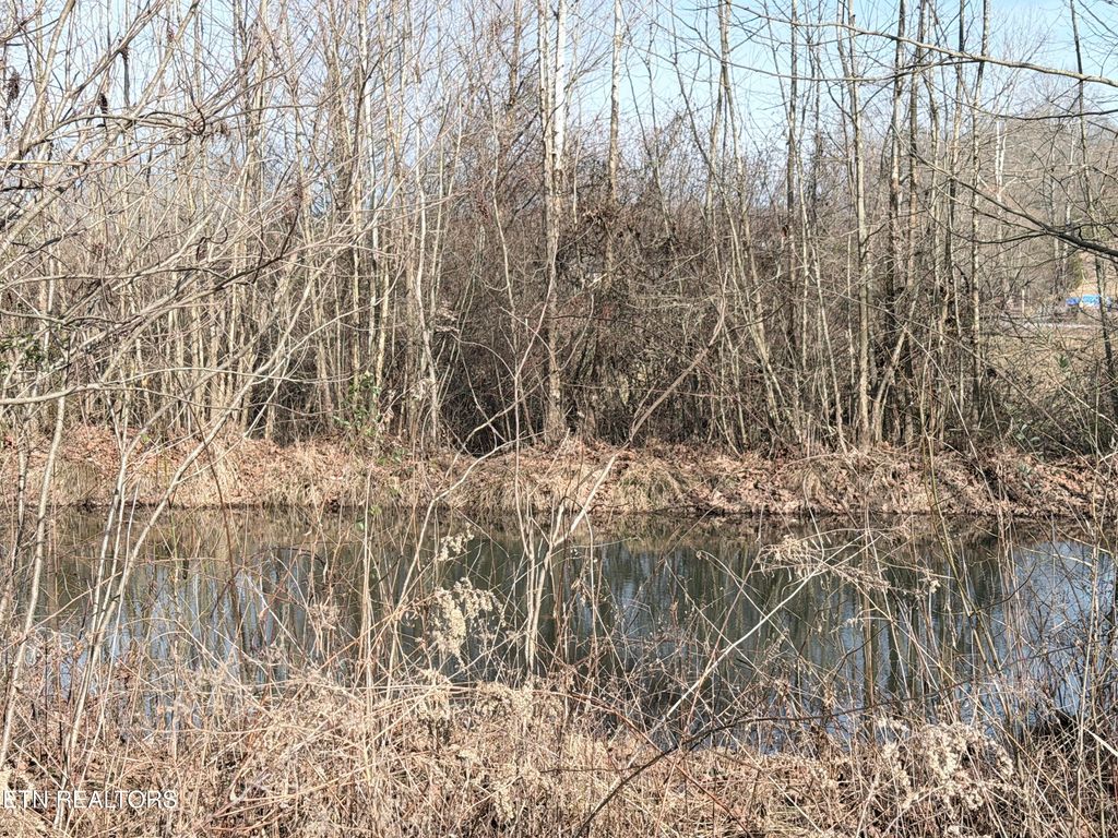 Photo of County Road 189, Decatur, TN 37322 (MLS # 1329145)