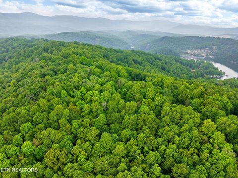 Tiny photo for Running Deer Tr, Caryville, TN 37714 (MLS # 1334073)