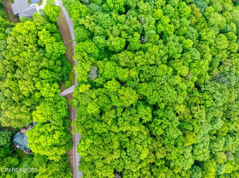 Tiny photo for Running Deer Tr, Caryville, TN 37714 (MLS # 1334073)