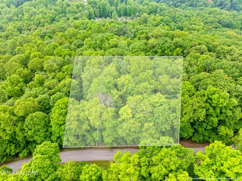 Tiny photo for Running Deer Tr, Caryville, TN 37714 (MLS # 1334073)