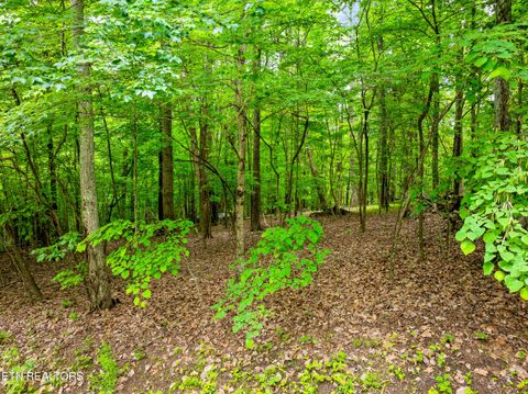 Tiny photo for Running Deer Tr, Caryville, TN 37714 (MLS # 1334073)