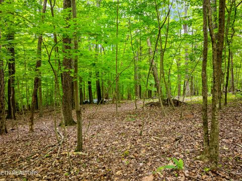 Tiny photo for Running Deer Tr, Caryville, TN 37714 (MLS # 1334073)