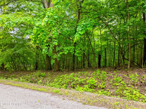 Photo of Running Deer Tr, Caryville, TN 37714 (MLS # 1334073)