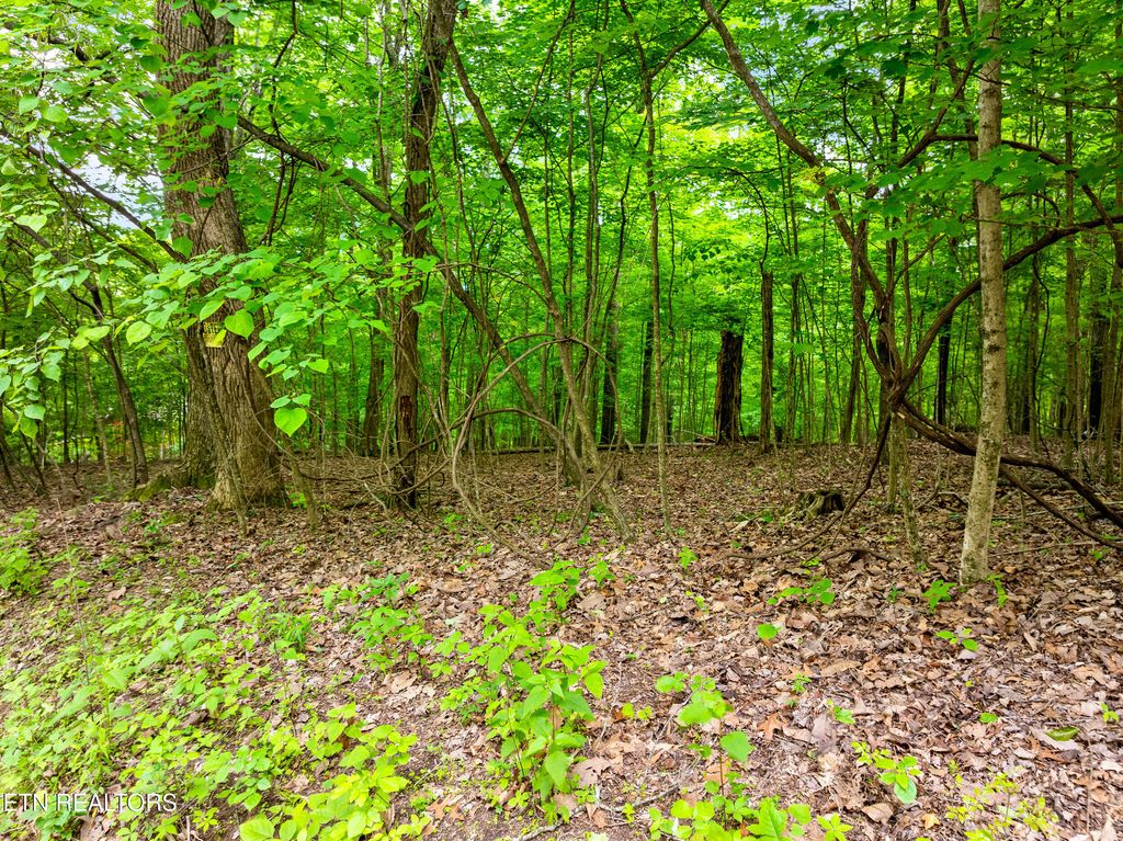 Photo of Running Deer Tr, Caryville, TN 37714 (MLS # 1334073)