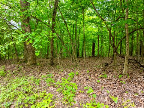 Tiny photo for Running Deer Tr, Caryville, TN 37714 (MLS # 1334073)