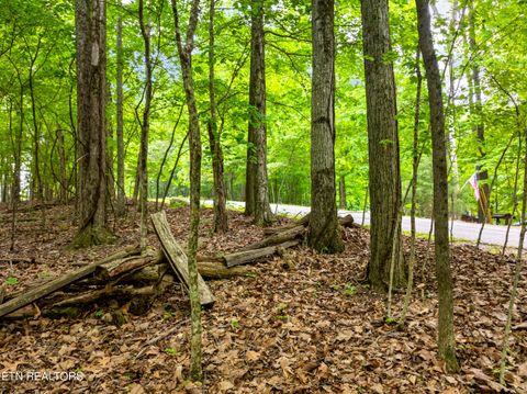 Tiny photo for Running Deer Tr, Caryville, TN 37714 (MLS # 1334073)