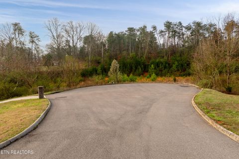 Photo of 141 Tristan Court, Lenoir City, TN 37772 (MLS # 1332682)