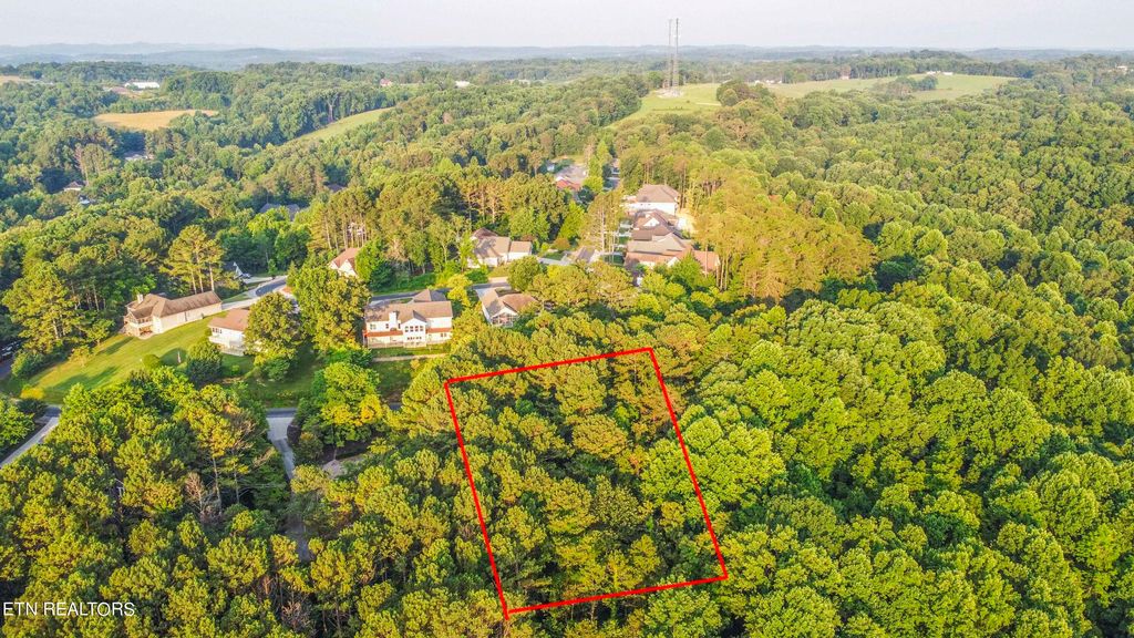 Photo of 131 Sasa Way, Loudon, TN 37774 (MLS # 1334937)