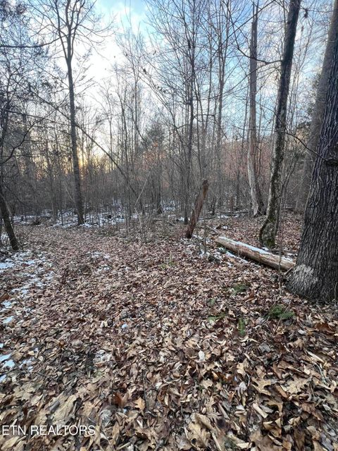 Photo of Hayes Lane E Of, LaFollette, TN 37766 (MLS # 1328303)