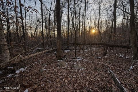 Tiny photo for Hayes Lane E Of, LaFollette, TN 37766 (MLS # 1328303)