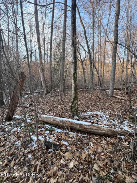 Tiny photo for Hayes Lane E Of, LaFollette, TN 37766 (MLS # 1328303)