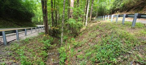 Tiny photo for 33 South Highway 32, Cosby, TN 37722 (MLS # 1315009)