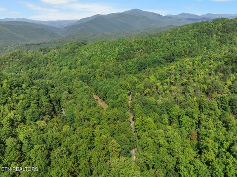 Tiny photo for 33 South Highway 32, Cosby, TN 37722 (MLS # 1315009)