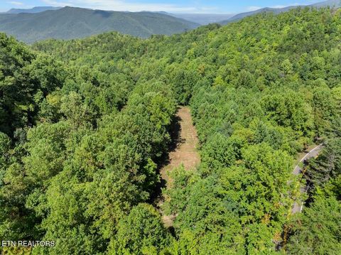 Tiny photo for 33 South Highway 32, Cosby, TN 37722 (MLS # 1315009)