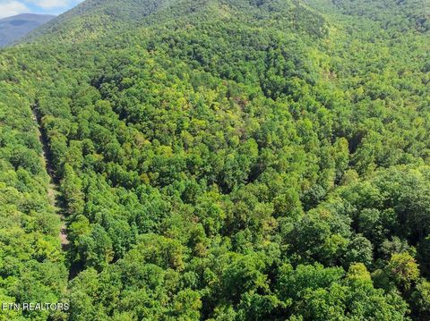 Tiny photo for 33 South Highway 32, Cosby, TN 37722 (MLS # 1315009)