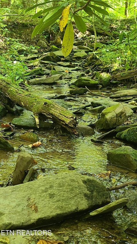 Tiny photo for 33 South Highway 32, Cosby, TN 37722 (MLS # 1315009)