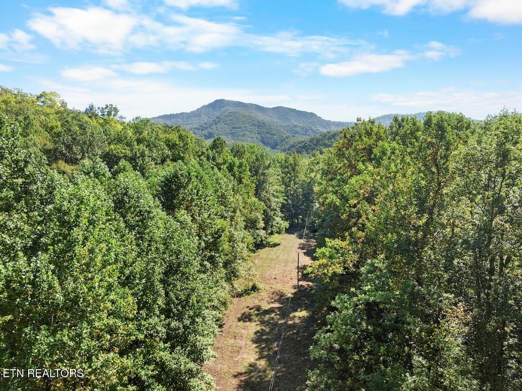 Photo of 33 South Highway 32, Cosby, TN 37722 (MLS # 1315009)