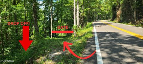 Tiny photo for 33 South Highway 32, Cosby, TN 37722 (MLS # 1315009)