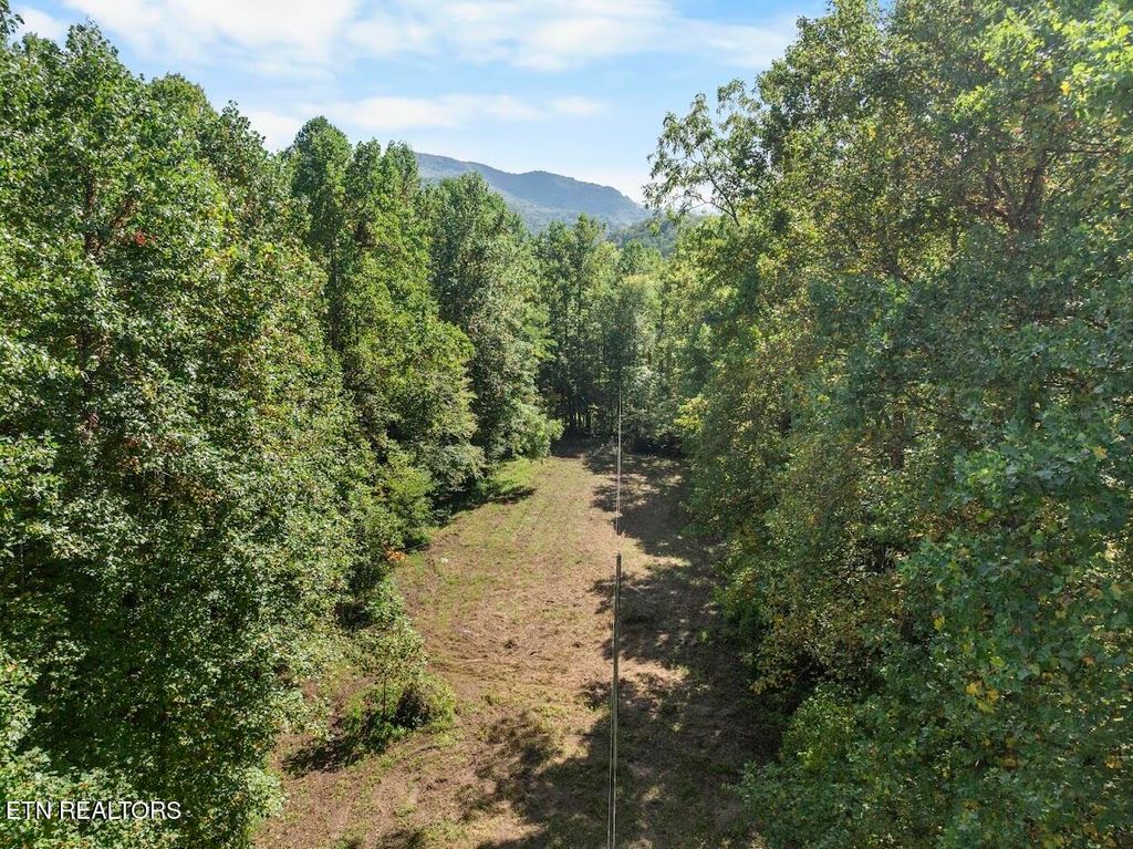 Photo of 33 South Highway 32, Cosby, TN 37722 (MLS # 1315009)