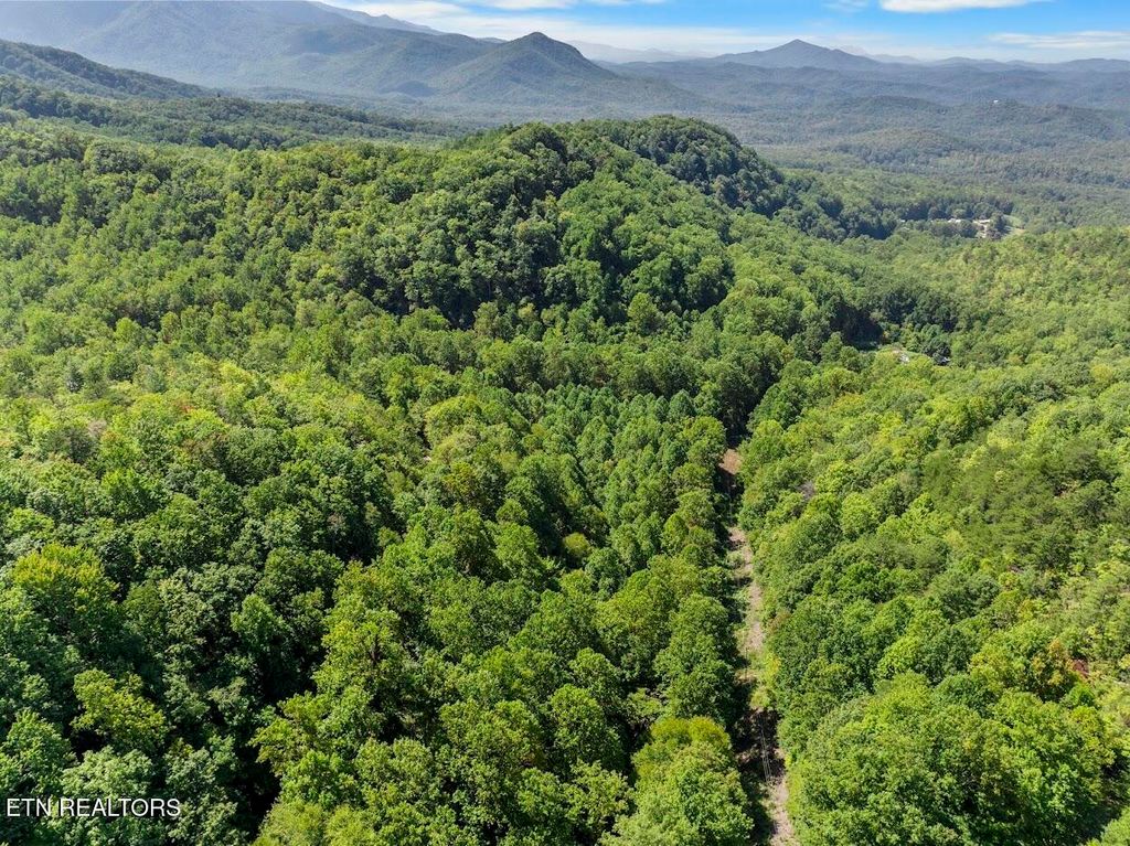 Photo of 33 South Highway 32, Cosby, TN 37722 (MLS # 1315009)