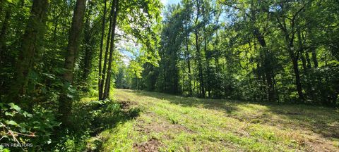 Tiny photo for 33 South Highway 32, Cosby, TN 37722 (MLS # 1315009)