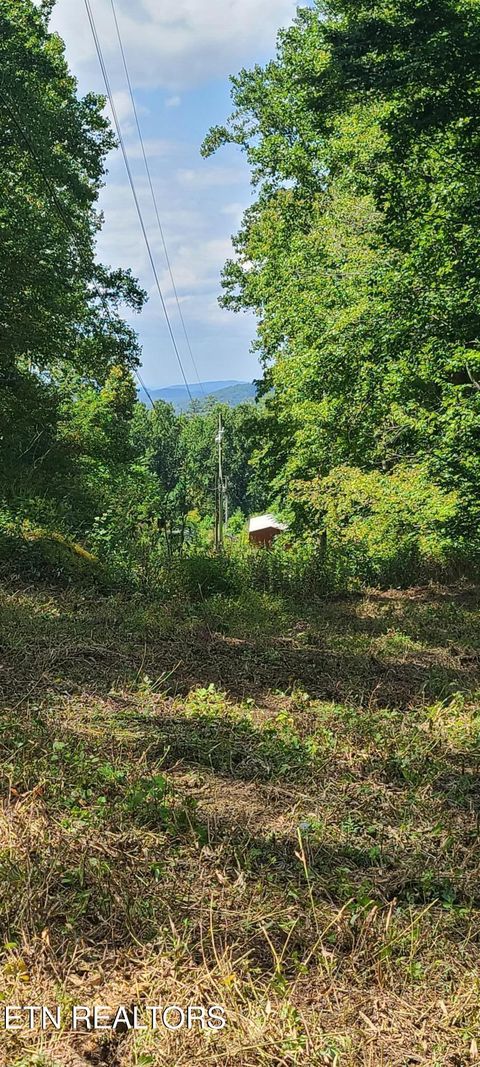 Tiny photo for 33 South Highway 32, Cosby, TN 37722 (MLS # 1315009)