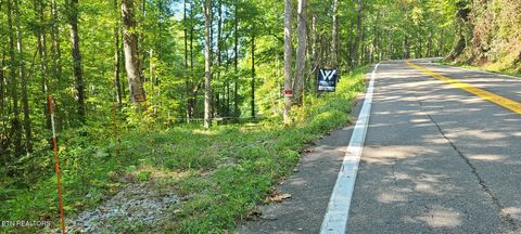 Tiny photo for 33 South Highway 32, Cosby, TN 37722 (MLS # 1315009)