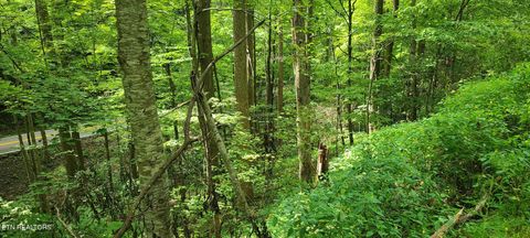 Tiny photo for 33 South Highway 32, Cosby, TN 37722 (MLS # 1315009)