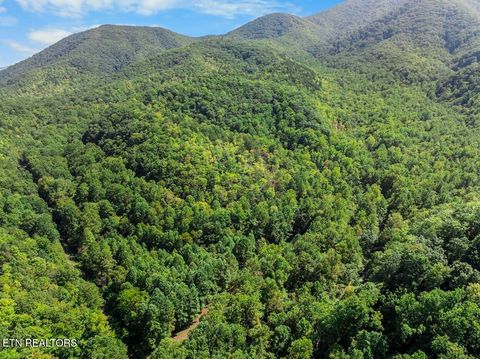 Tiny photo for 33 South Highway 32, Cosby, TN 37722 (MLS # 1315009)