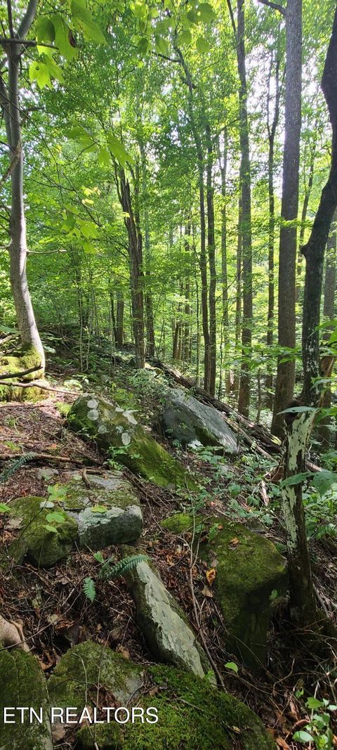 Tiny photo for 33 South Highway 32, Cosby, TN 37722 (MLS # 1315009)
