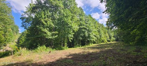 Tiny photo for 33 South Highway 32, Cosby, TN 37722 (MLS # 1315009)