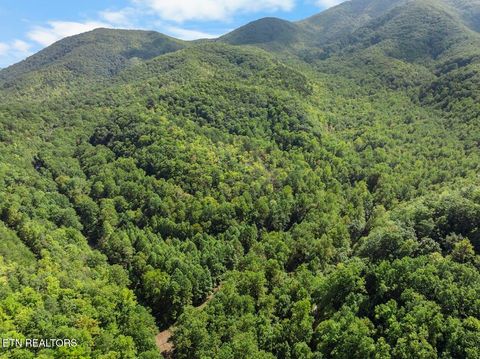 Tiny photo for 33 South Highway 32, Cosby, TN 37722 (MLS # 1315009)