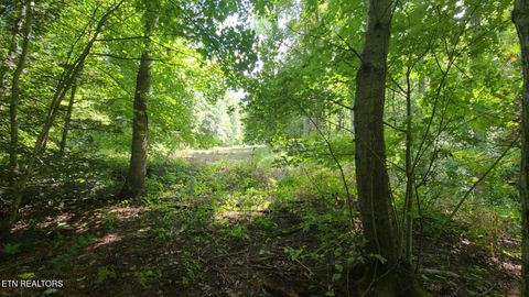 Tiny photo for 33 South Highway 32, Cosby, TN 37722 (MLS # 1315009)