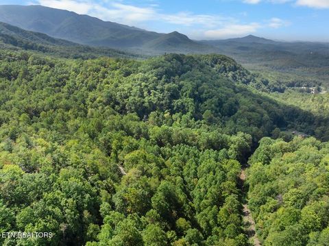 Tiny photo for 33 South Highway 32, Cosby, TN 37722 (MLS # 1315009)