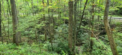 Tiny photo for 33 South Highway 32, Cosby, TN 37722 (MLS # 1315009)