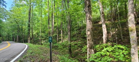 Tiny photo for 33 South Highway 32, Cosby, TN 37722 (MLS # 1315009)