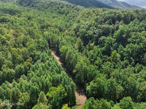 Tiny photo for 33 South Highway 32, Cosby, TN 37722 (MLS # 1315009)