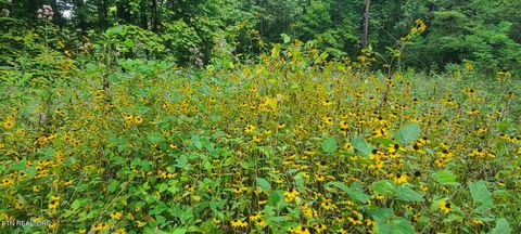 Tiny photo for 33 South Highway 32, Cosby, TN 37722 (MLS # 1315009)