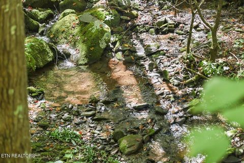 Tiny photo for 33 South Highway 32, Cosby, TN 37722 (MLS # 1315009)