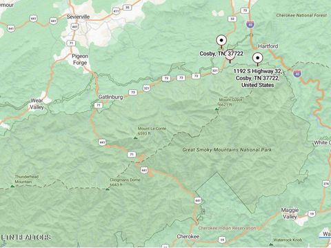 Tiny photo for 33 South Highway 32, Cosby, TN 37722 (MLS # 1315009)