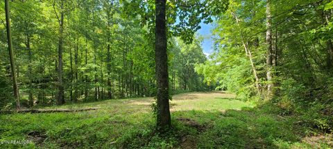 Tiny photo for 33 South Highway 32, Cosby, TN 37722 (MLS # 1315009)