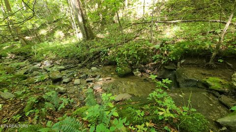Tiny photo for 33 South Highway 32, Cosby, TN 37722 (MLS # 1315009)