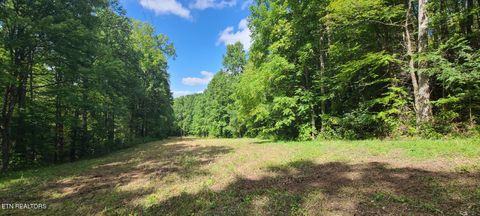 Tiny photo for 33 South Highway 32, Cosby, TN 37722 (MLS # 1315009)